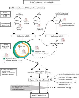 Optimal Tolerogenic Dendritic Cells in Type 1 Diabetes (T1D) Therapy: What Can We Learn From Non-obese Diabetic (NOD) Mouse Models?